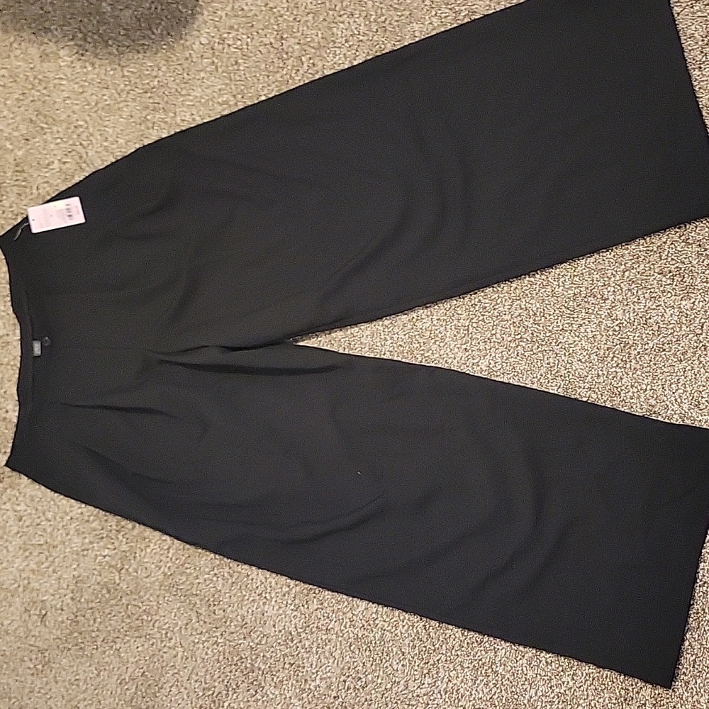 NWT Wild Fable Dress Pants